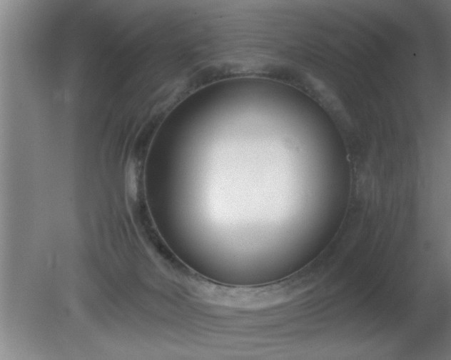 X0000080170026200612151934