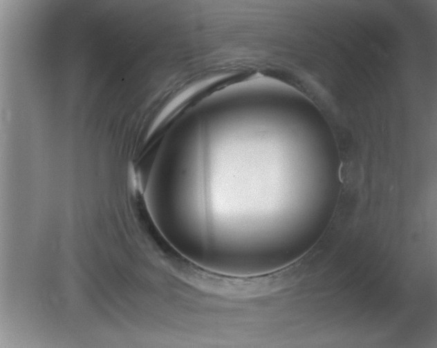 X0000080170027200612151934