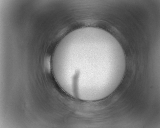 X0000080170028200612151934