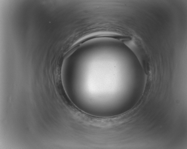 X0000080170029200612151934