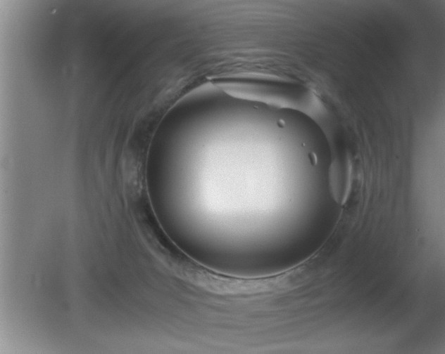 X0000080170031200612151934