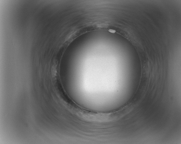 X0000080170032200612151934