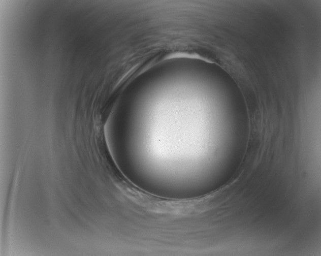 X0000080170033200612151934