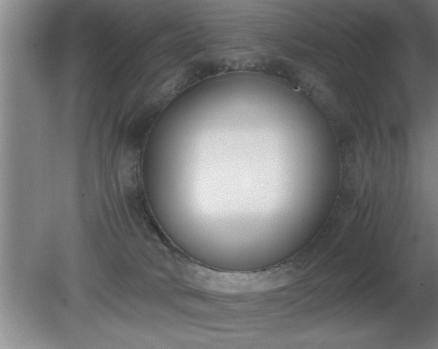 X0000080170034200612151934