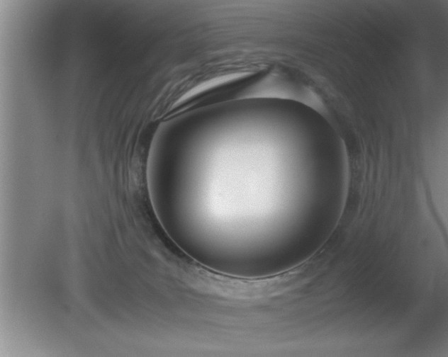 X0000080170035200612151934