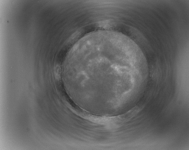 X0000080170036200612151934