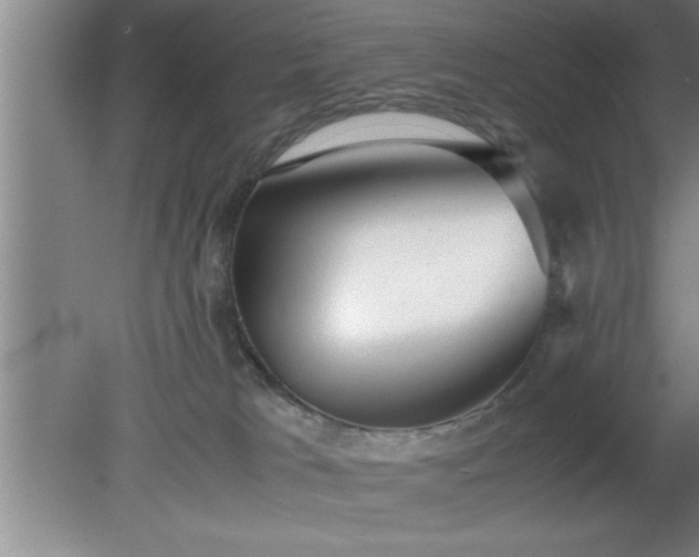 X0000080170037200612151934