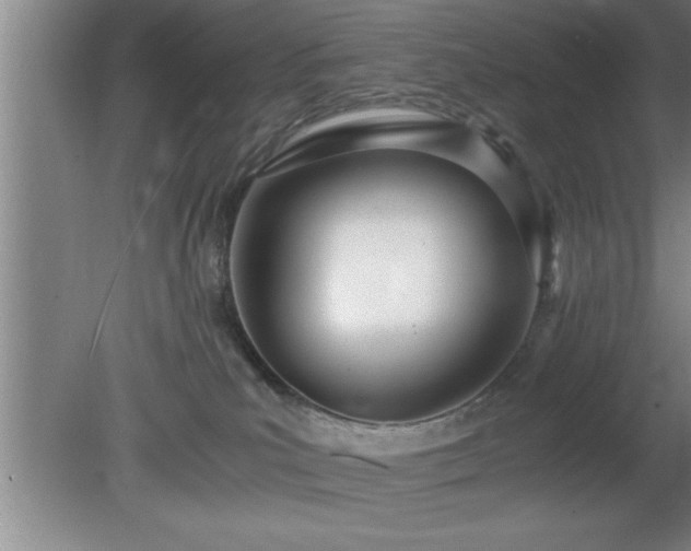 X0000080170039200612151934