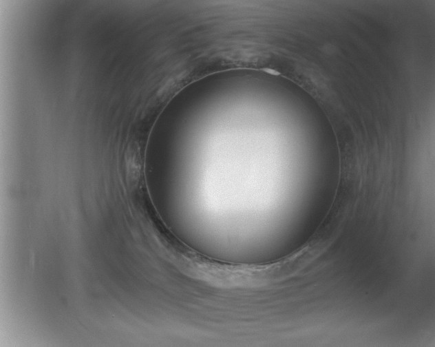 X0000080170040200612151934