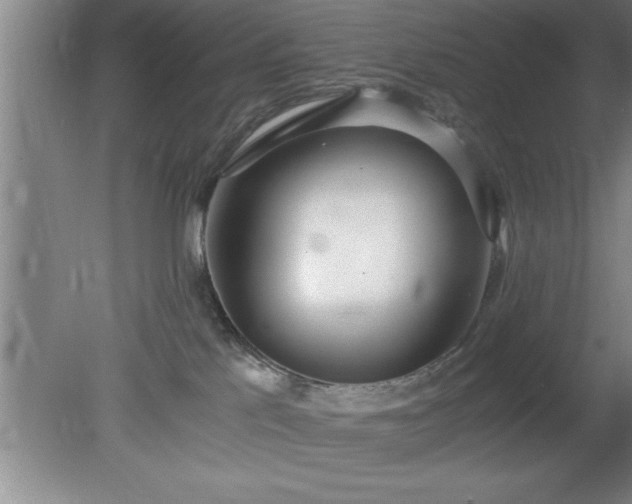 X0000080170041200612151934