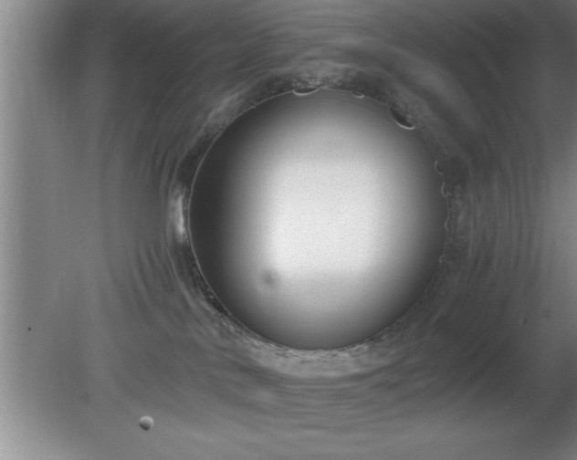 X0000080170042200612151934