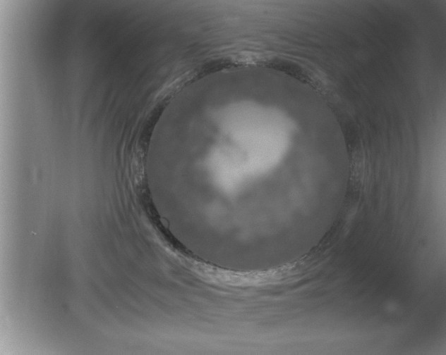 X0000080170043200612151934