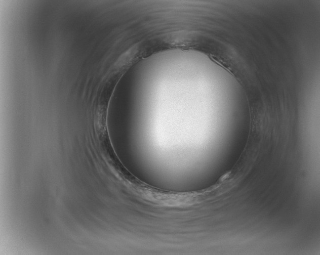 X0000080170044200612151934