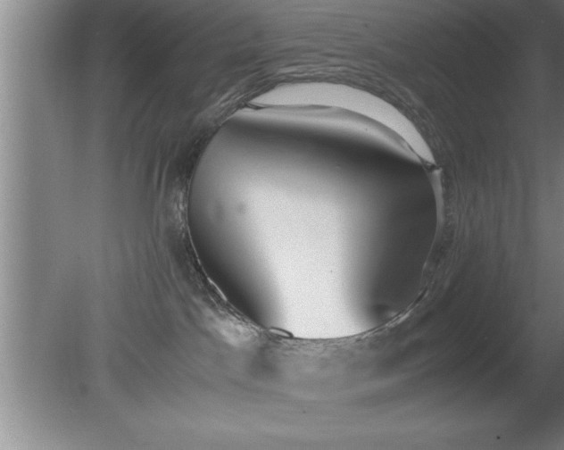 X0000080170045200612151934