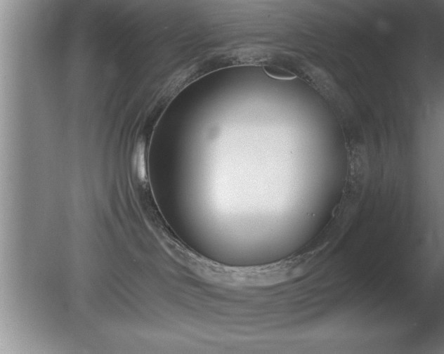 X0000080170046200612151934