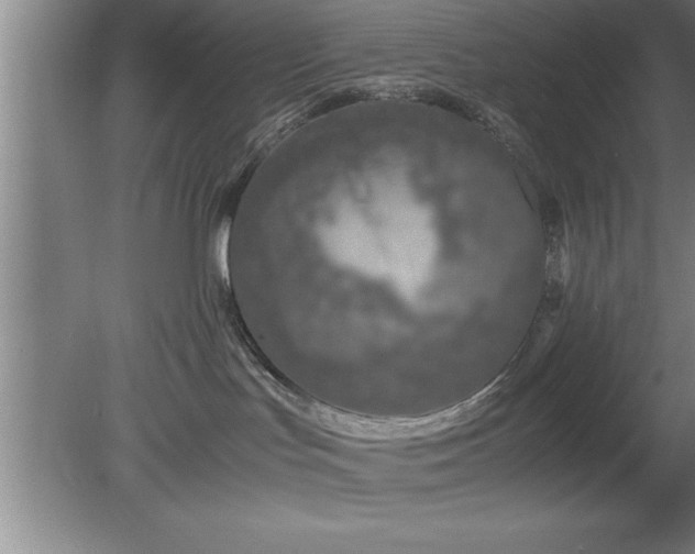 X0000080170047200612151934