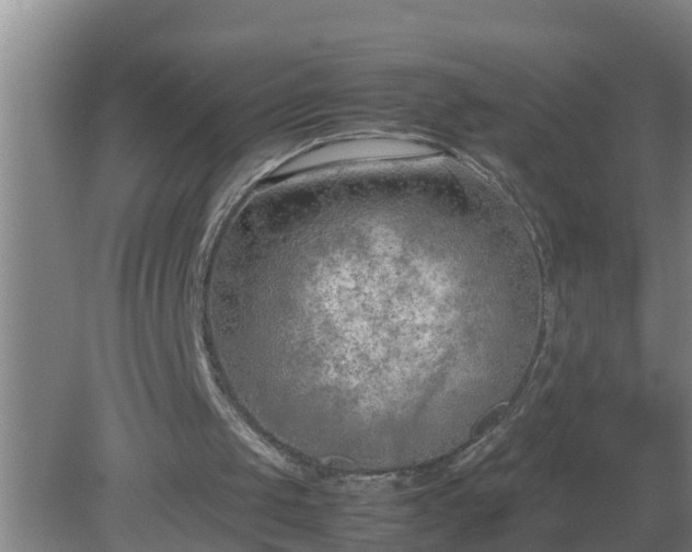 X0000080170049200612151933