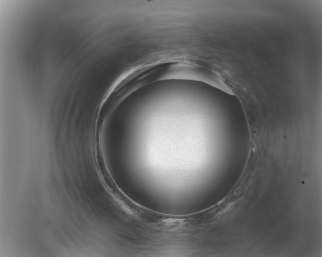 X0000080170052200612151933