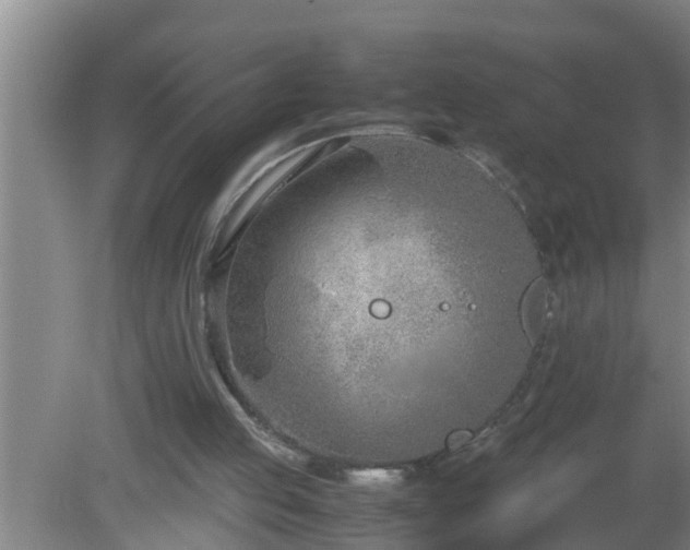 X0000080170053200612151933