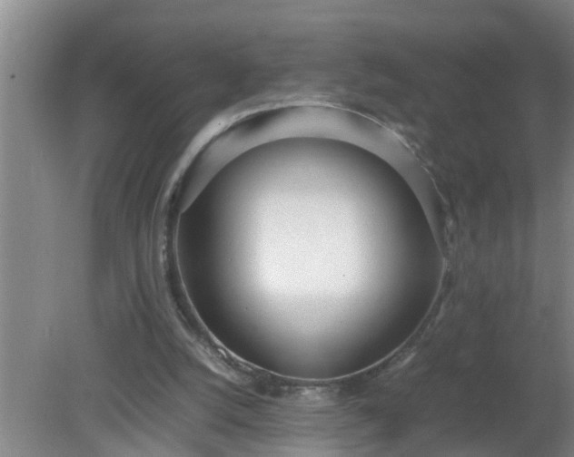 X0000080170056200612151933