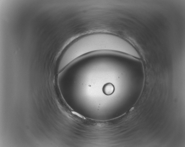 X0000080170060200612151933