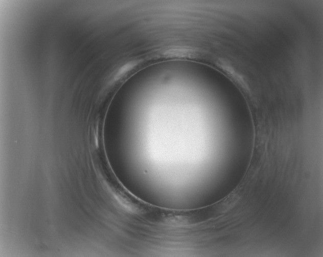 X0000080170062200612151933