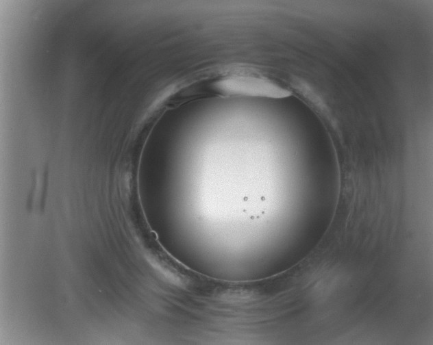 X0000080170063200612151933