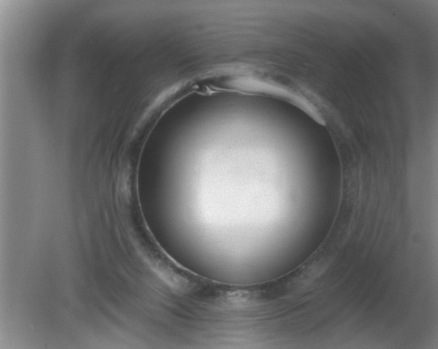 X0000080170064200612151933