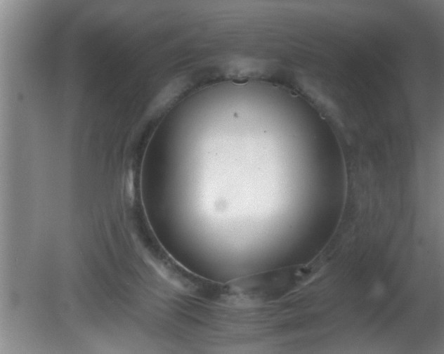 X0000080170067200612151933