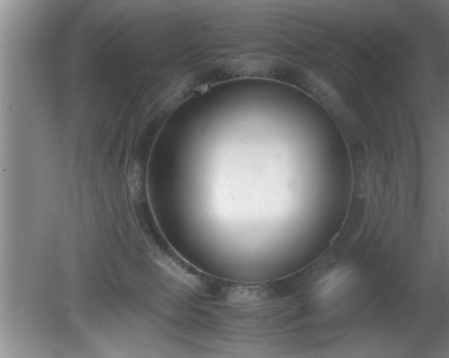 X0000080170077200612151933