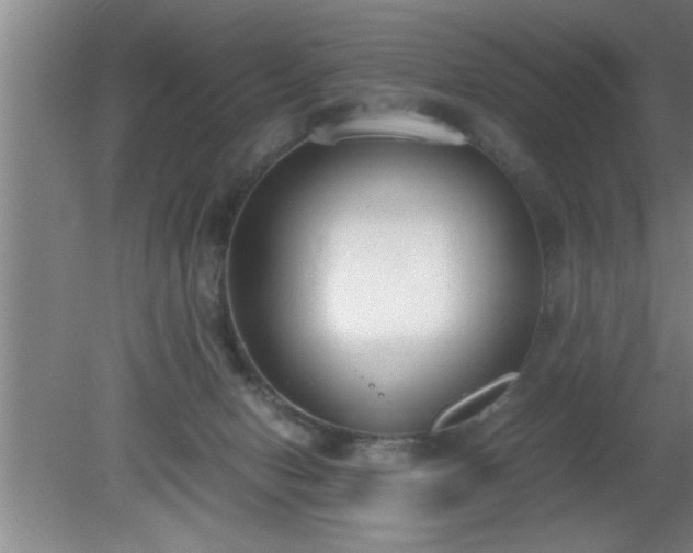 X0000080170078200612151933