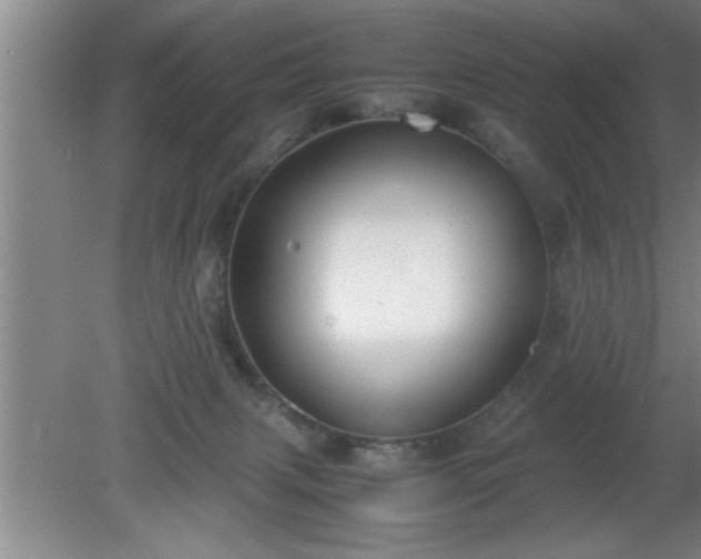 X0000080170079200612151933