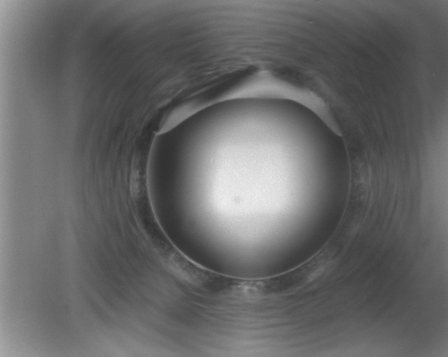 X0000080170080200612151933