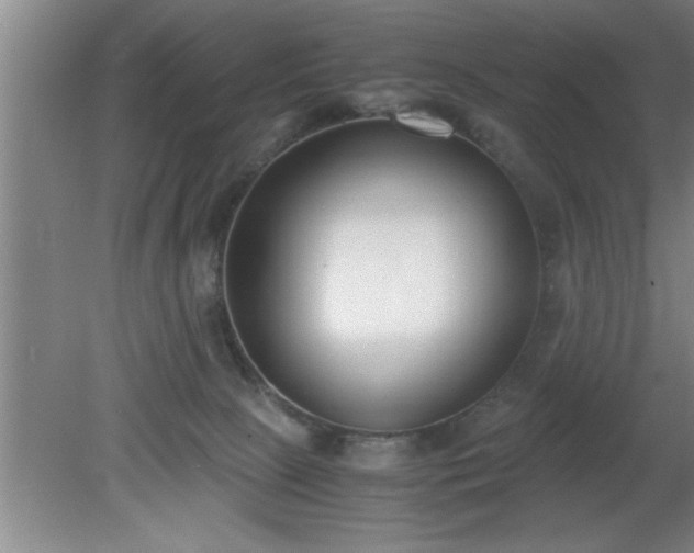 X0000080170081200612151933