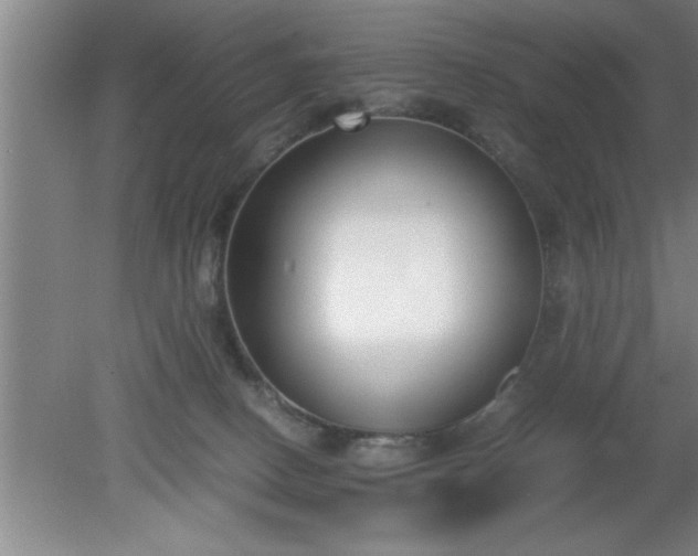 X0000080170082200612151933