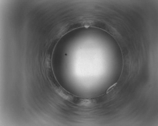 X0000080170083200612151933