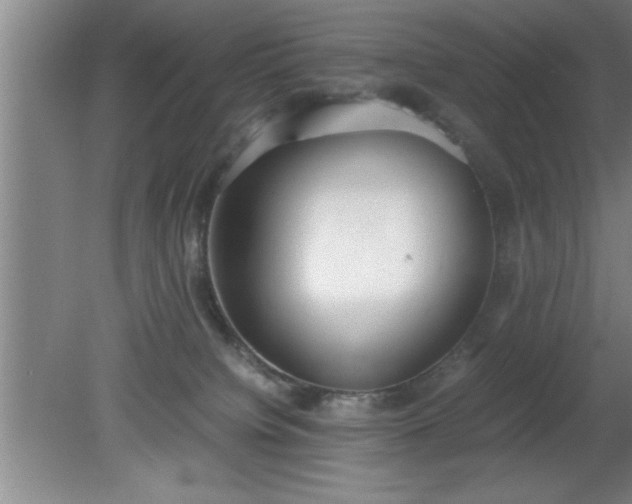 X0000080170084200612151933