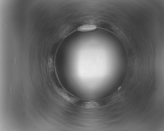 X0000080170087200612151933