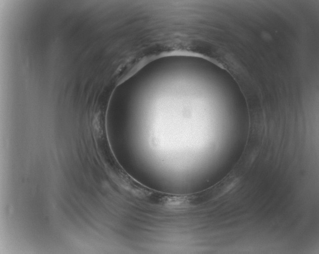 X0000080170088200612151933