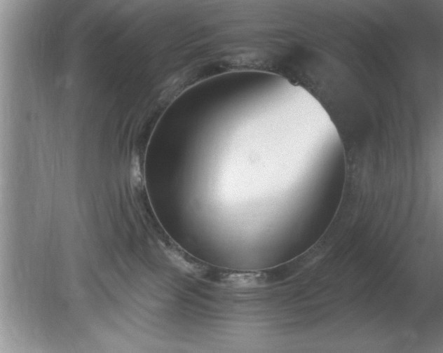 X0000080170089200612151934