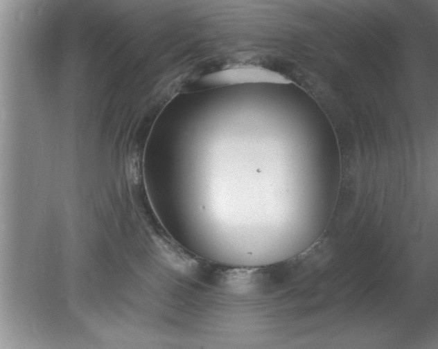 X0000080170090200612151934