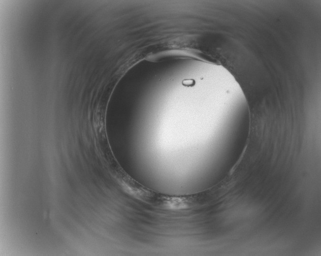 X0000080170091200612151934