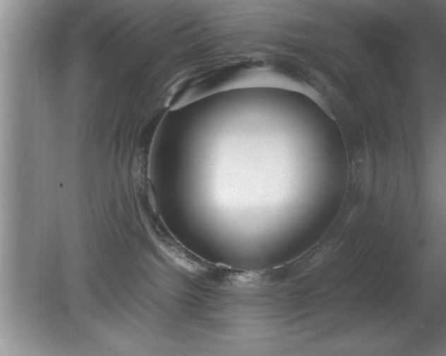 X0000080170092200612151934