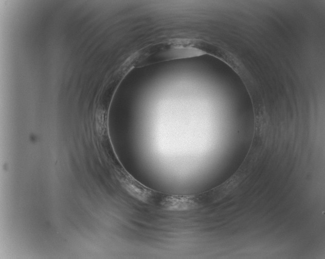 X0000080170093200612151934