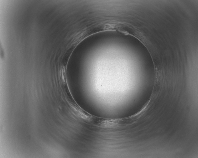 X0000080170094200612151934