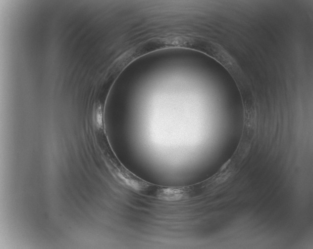 X0000080170095200612151934