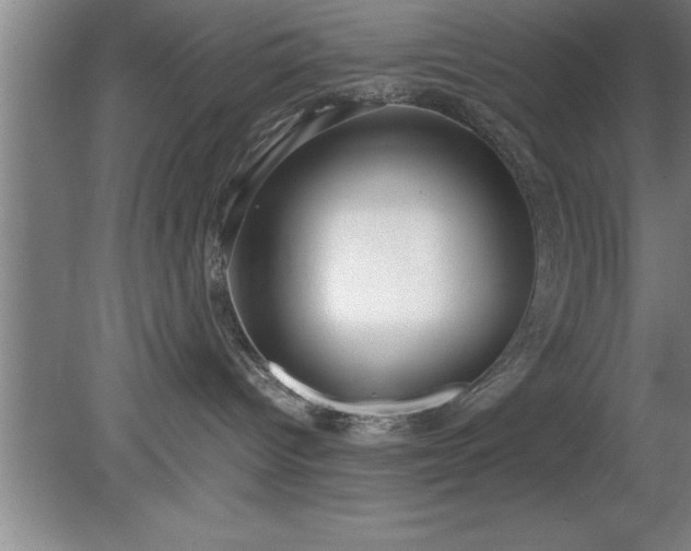 X0000080170096200612151934