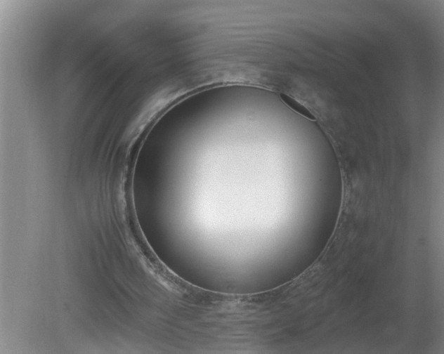 X0000080170098200612151933