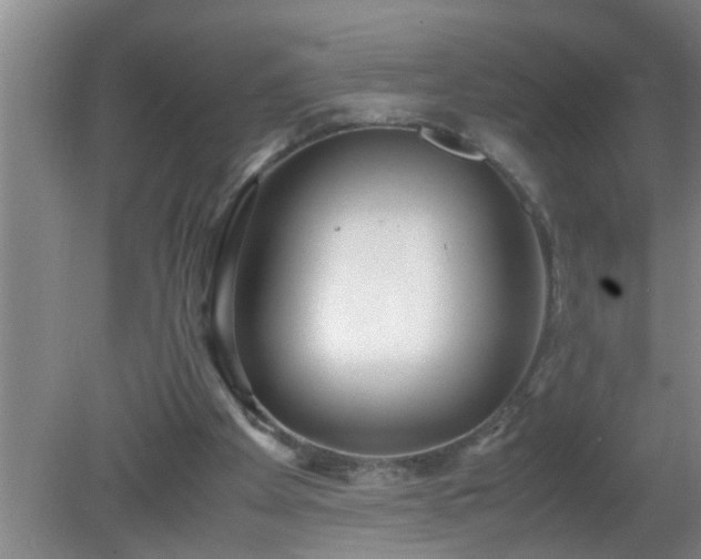 X0000080170105200612151933