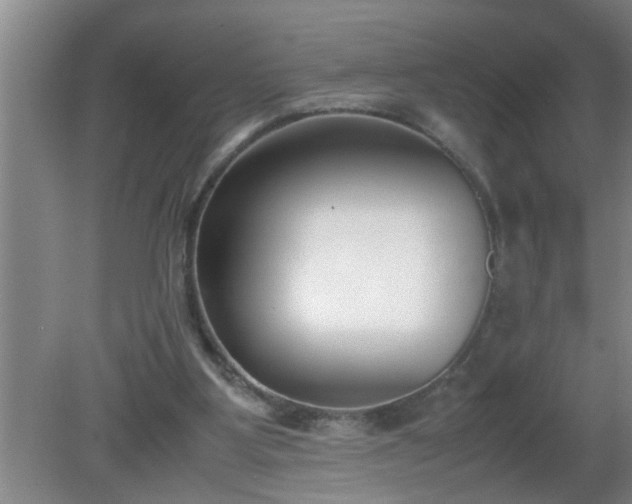 X0000080170107200612151933